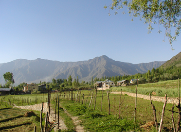 Dachigam Resort